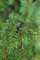 Similar image 21890425