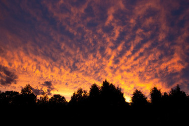 Similar image 21890426