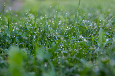 Similar image 21890427