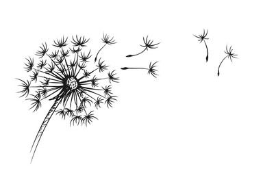 Similar image 21892444