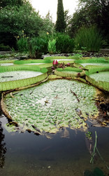 Similar image 21892446