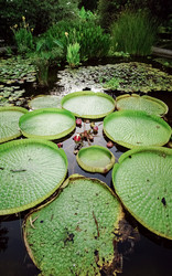 Similar image 21892447