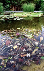 Similar image 21892448