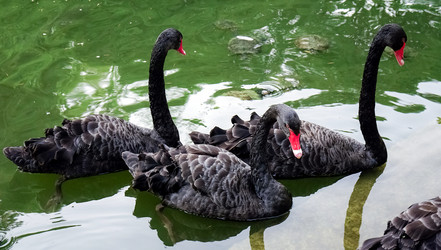 Similar image 21892450