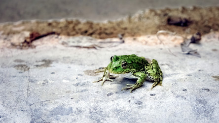 Similar image 21892451