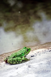 Similar image 21892453