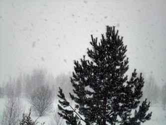 Similar image 21892064