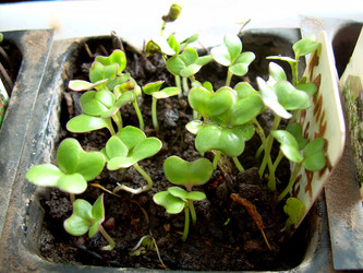 Similar image 21892066