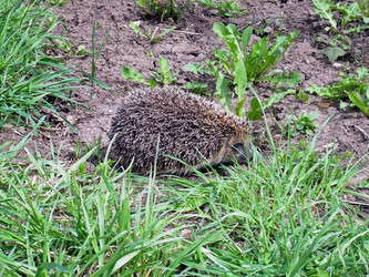 Similar image 21892067