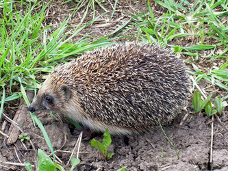 Similar image 21892068