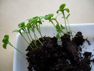 Similar image 21892069