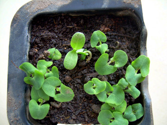 Similar image 21892070