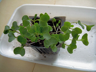 Similar image 21892071