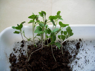 Similar image 21892072