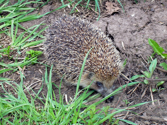 Similar image 21892073