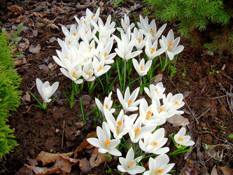 Similar image 21892074