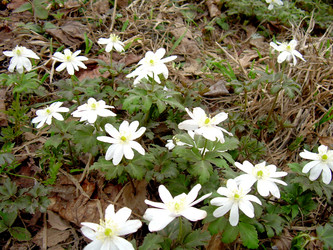 Similar image 21892075