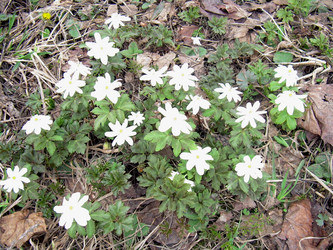 Similar image 21892076