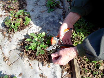 Similar image 21892077