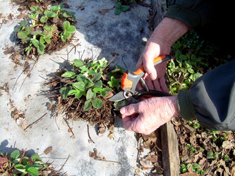 Similar image 21892078