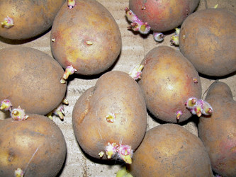 Similar image 21892079