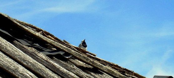 Similar image 21892080