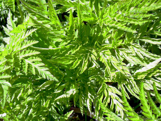 Similar image 21892081