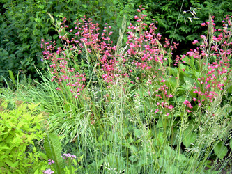 Similar image 21892084