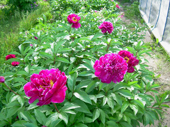 Similar image 21892085