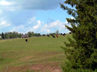 Similar image 21892086