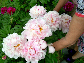 Similar image 21892087