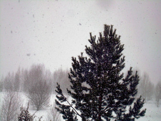 Similar image 21892090