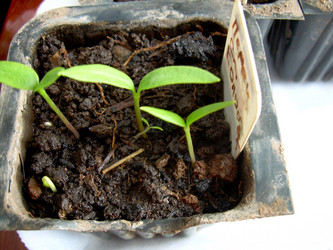 Similar image 21892092