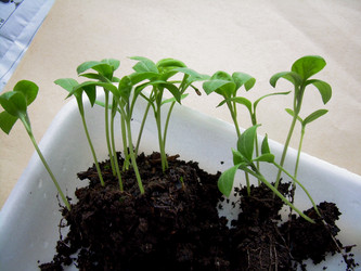 Similar image 21892093