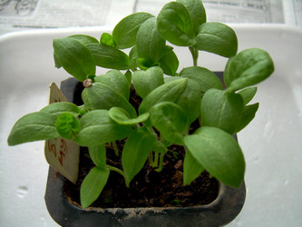 Similar image 21892094