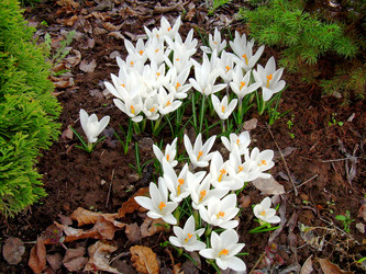 Similar image 21892096