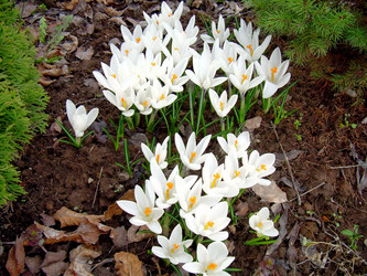 Similar image 21892097