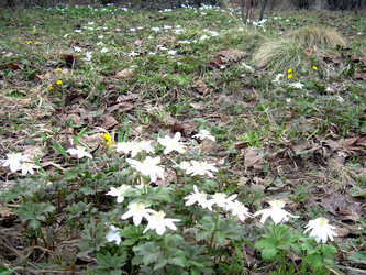 Similar image 21892098