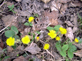 Similar image 21892099