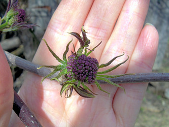 Similar image 21892100