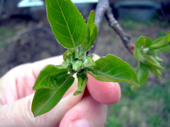 Similar image 21892101