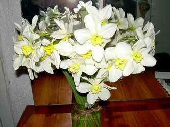 Similar image 21892102