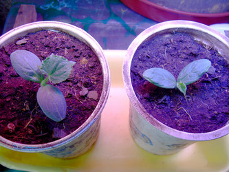 Similar image 21892103