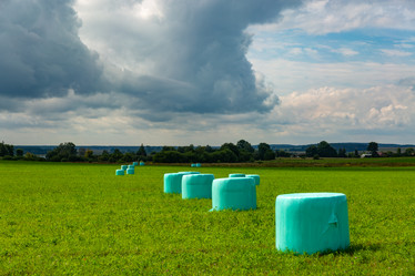 Similar image 21894292