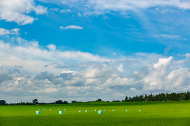 Similar image 21894293