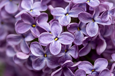 Similar image 21890643