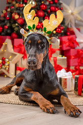 Similar image 21890644