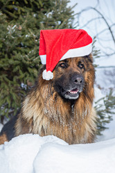 Similar image 21890646