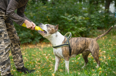 Similar image 21890648