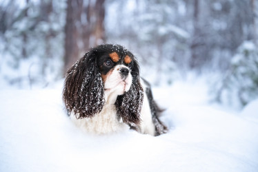 Similar image 21890650